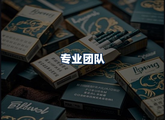 专业团队